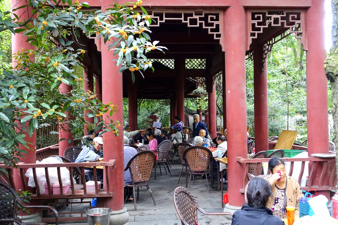 A traditional teahouse table with covered gaiwan tea cups in a Chengdu park